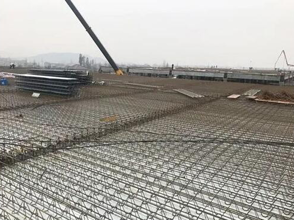 QQ截图20240321103200.jpg